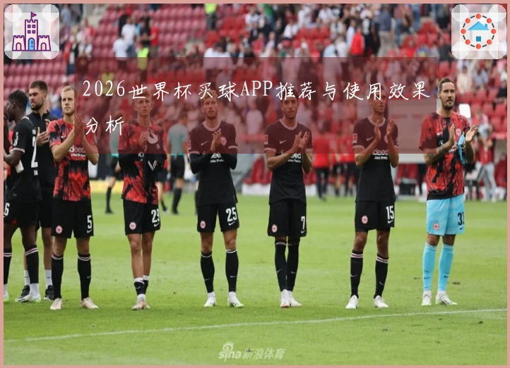 2026世界杯买球APP推荐与使用效果分析