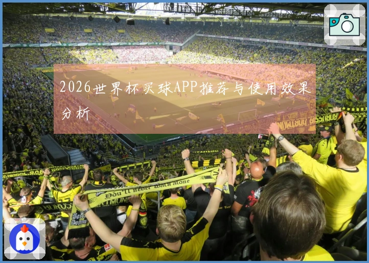 2026世界杯买球APP推荐与使用效果分析