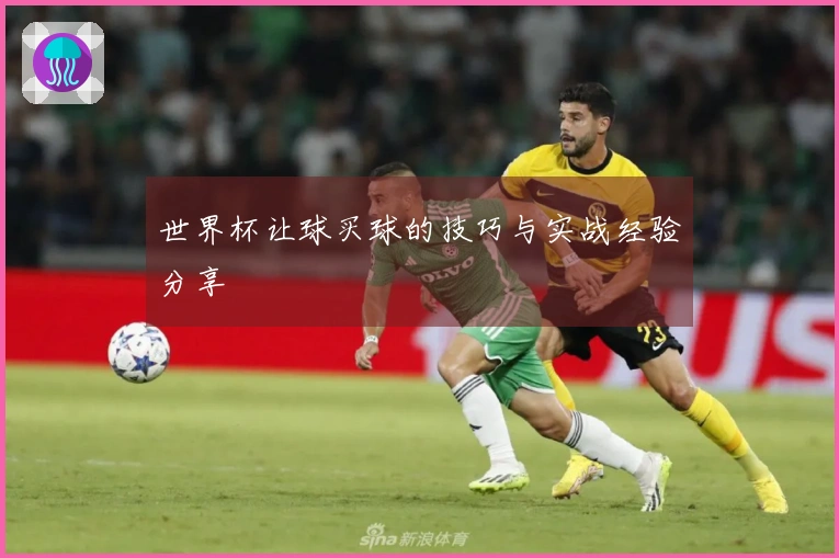 世界杯让球买球的技巧与实战经验分享