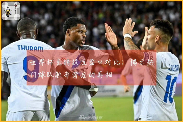 世界杯竞猜投注盘口对比：揭示热门球队胜率背后的真相